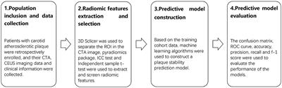 Computed tomography angiography-based radiomics model for predicting carotid atherosclerotic plaque vulnerability